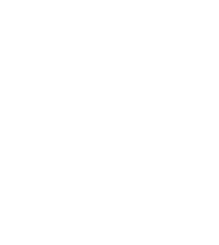 Virginia West Virginia Icon