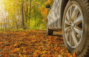 Car getting clean for the fall